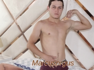 Marcusorgus