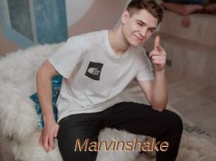 Marvinshake
