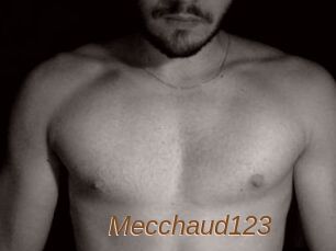 Mecchaud123