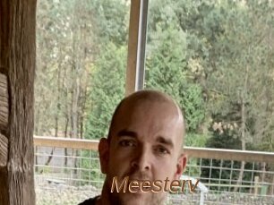 Meesterv