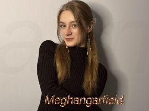 Meghangarfield