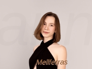 Mellferras