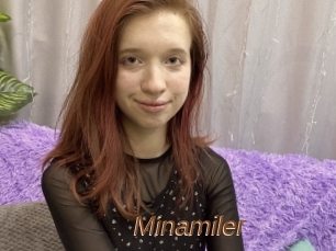 Minamiler