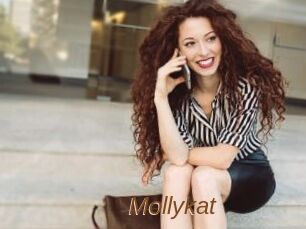 Mollykat