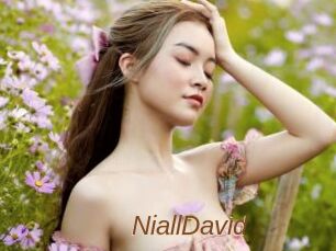 NiallDavid