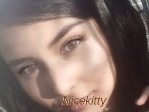 Nicekitty