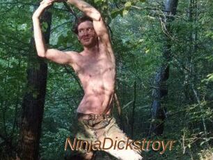 NinjaDickstroyr