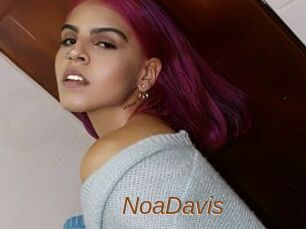 NoaDavis