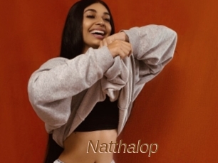 Natthalop