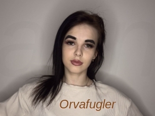 Orvafugler