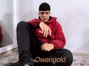 Owengold