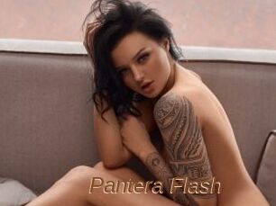 Pantera_Flash