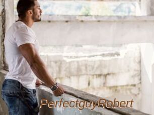 PerfectguyRobert