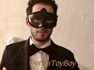 PerverToyBoy
