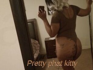 Pretty_phat_kitty