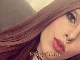 PurryKitten