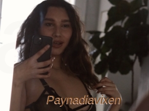 Paynadiavixen