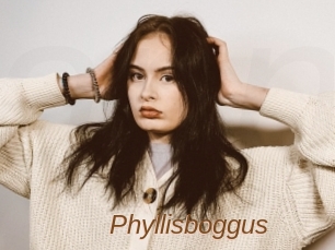 Phyllisboggus