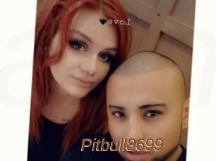 Pitbull8699