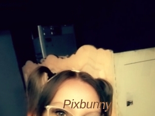 Pixbunny