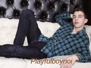 Playfulboynoi