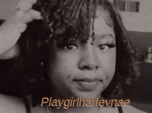 Playgirlharleynae