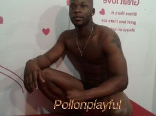 Pollonplayful