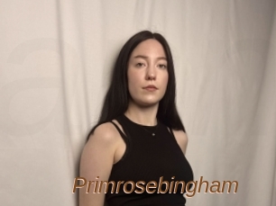 Primrosebingham