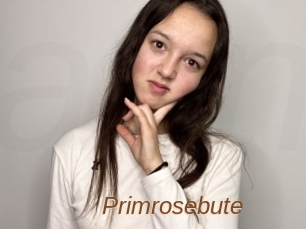Primrosebute