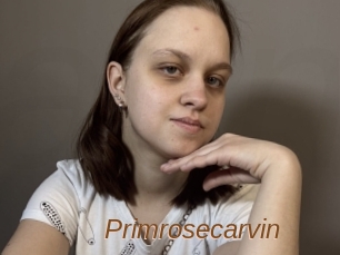 Primrosecarvin