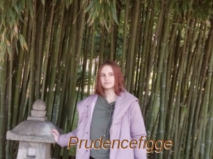 Prudencefigge