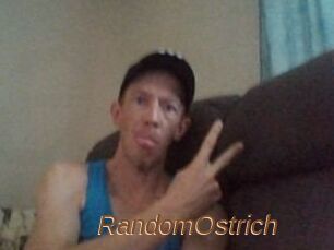 RandomOstrich