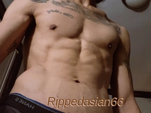 Rippedasian66