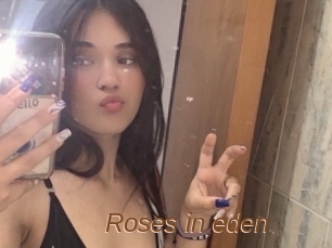 Roses_in_eden