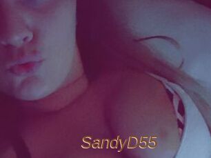 SandyD55