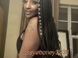 Sassyeboney3838