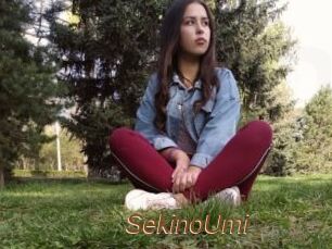 SekinoUmi