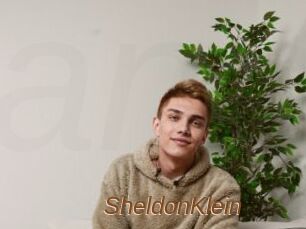 SheldonKlein