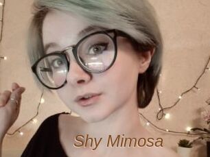 Shy_Mimosa