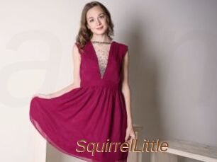 SquirrelLittle