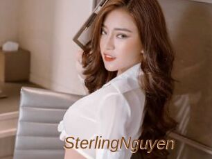 SterlingNguyen