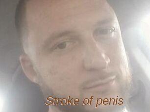 Stroke_of_penis
