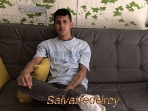 Salvatredelrey