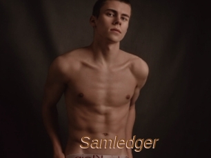 Samledger
