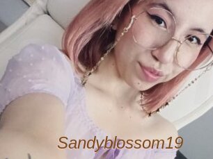 Sandyblossom19