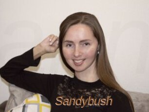 Sandybush