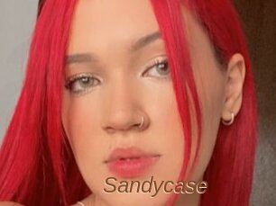 Sandycase