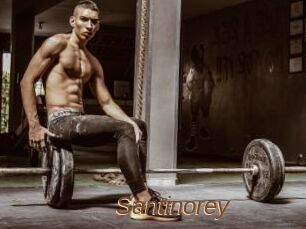 Santinorey