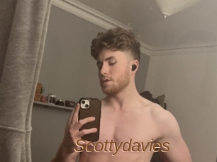 Scottydavies
