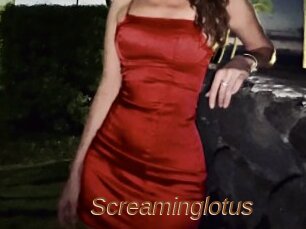 Screaminglotus